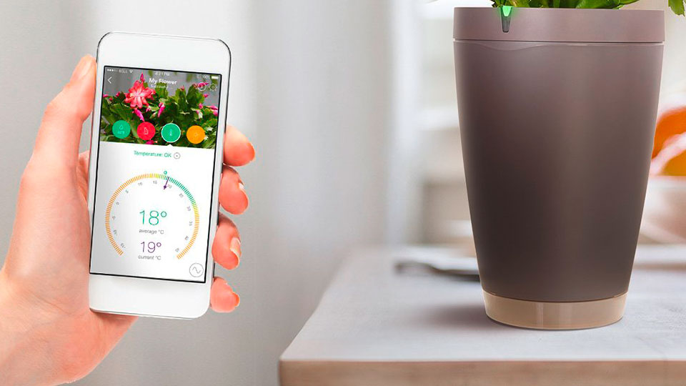 Die neue App Flower Power 2 soll den Bluetooth-Blumentopf unterstützen. Bilder: Parrot