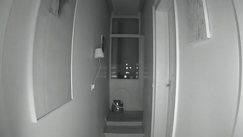 Im Dunkeln schalten Überwachungskameras wie die Smartfrog Cam auf Nachtsicht um. ©digitalzimmer