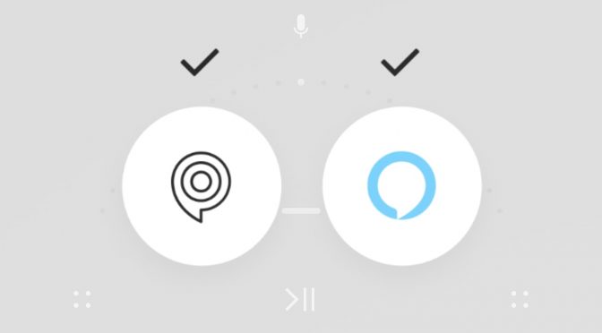 Icons von Sonos Voice und Alexa
